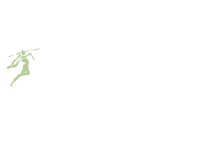New Ireland Assurance@2x